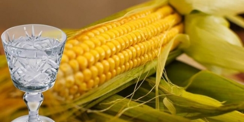 Recepti brakova od kukuruza, kuhajući domaći kukuruz