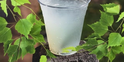 Recepti bratstva iz juika od breze, kuhajući mjesečnu čizmu od breze kvasa