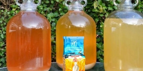 Recepti brakova na alkohol kvasca, mjesec