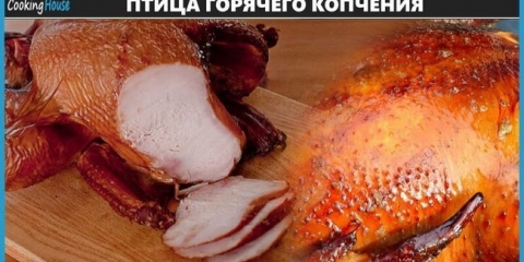 Ptice vruće dimljene recepte kod kuće