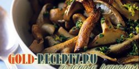 Recepti gljive, marinirane gljive, prženi recepti za gljive