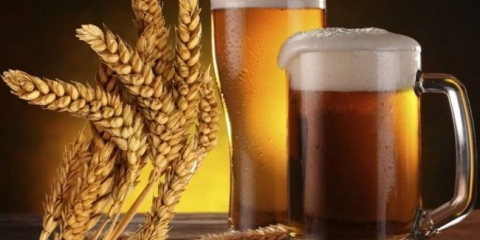 Recepti za proizvodnju kućnih piva sa vašim rukama