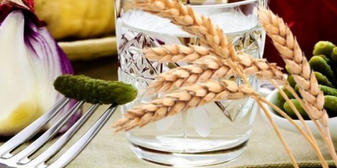 Recepti barley brage, barley mornogon