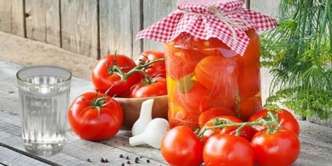 Recepti za očuvanje rajčice zime sa votkom