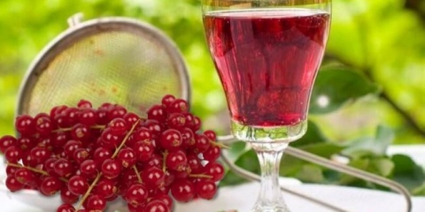 Recepti krasnosorodin likera, kuhajući od obavljenih bobica, koktela