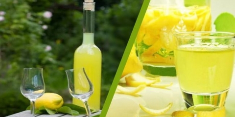 Recepti lemoncello, grickalice do limuna laganja, kokteli sa limunom