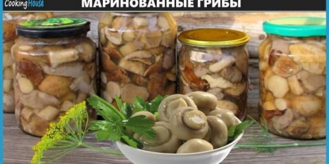 Recepti kiselih gljiva i posuđa na osnovu njih