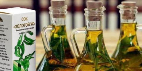 Recepti tinkture zlatnog sad-a, upute za upotrebu