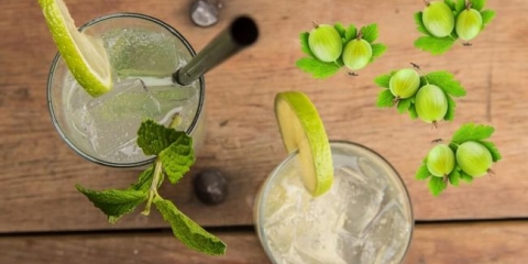 Recepte pripreme brage, moonshine iz gokefberry