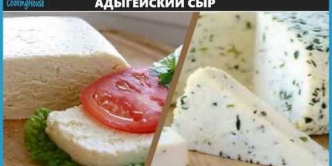 Recepti za kuhanje početna adygei sir