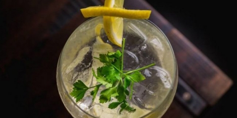 Recepti za kuhanje home džina i koktela na osnovu njega