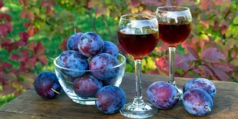 Recepti za kuhanje domaćeg šljive, tinkture i vjeverice sa šljiva kod kuće