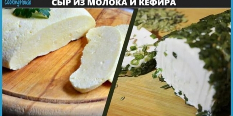 Recepti za pravljenje domaćeg sira iz mlijeka i kefira