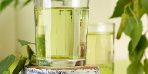 Recepti za kuhanje domaćeg vina od juika za brezu