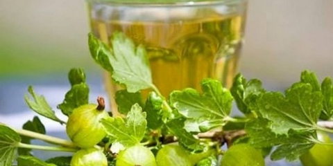 Recepti za kuhanje domaćih vina, tićure i punjenje iz kostiju