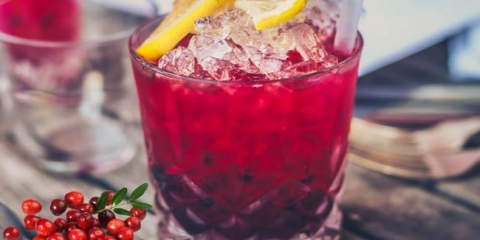 Početna cliring recepti za kuhanje - tinktura moonsine na brusnici