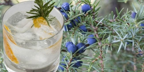 Recepti za kuhanje kuhanje bojnog tinkture na mjesecu