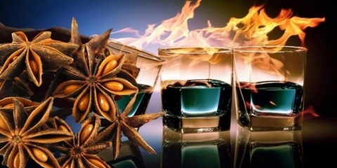 Recepti za kuhanje domaćih smboba, pravilna upotreba