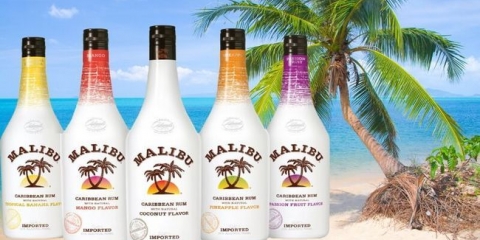 Recepti za kuhanje kokosovih likera - analogni malibu, pravila za dovod