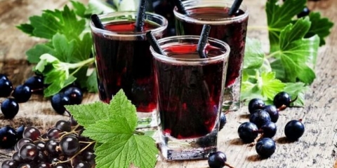 Recepti za pripremu likera iz crne ribizle