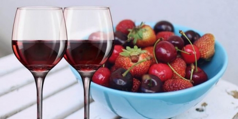 Recepti za kuhanje, ticture i domaća vina iz raznih bobica