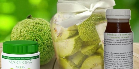 Recepti priprema adumed tinkture jabuke (maska), opseg