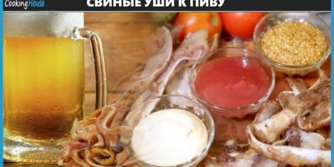 Recepti kuhanja svinjskih uši poput grickalica do piva