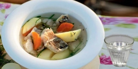 Recepti za kuhanje vesla kod votke kod kuće i požaru