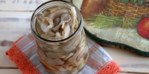 Recepti za kuhanje ostrige za zimu