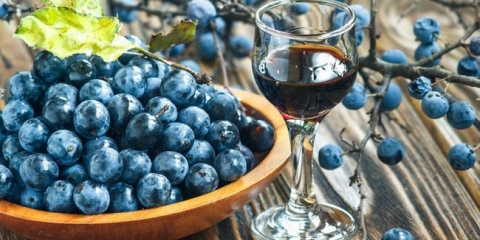 Recepti kuhanja vina, tinktura i vjeverice iz tern-a kod kuće