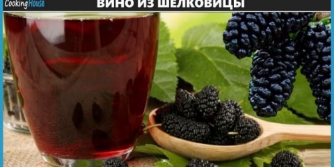 Recepti za kuhanje vina, tinkture i punjenja sa murve