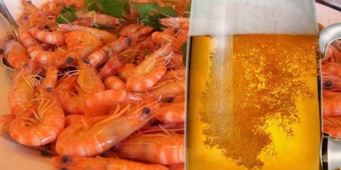 Recepti za kuhanje ukusnih škampi za hranjenje na pivo