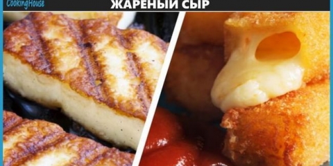Recepti za kuhanje prženog sira u tavi ili roštilju