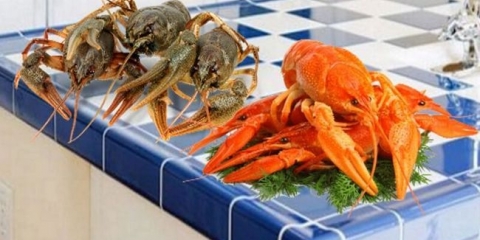 Recepti za kuhanje živih i smrznutih rakova