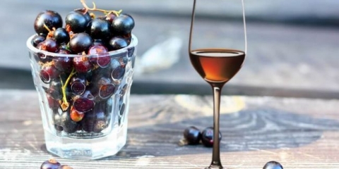 Recepti mjesečevih i tićura iz crne ribizle