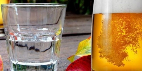 Recepti moonshine iz brage na pivu