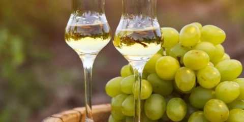 Recepti od moonsa iz vina domaćeg porijekla