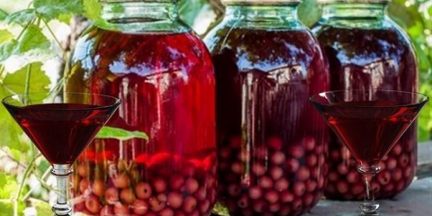 Recepti vina, naglaska i tinkture kompota za samokuvanje kod kuće