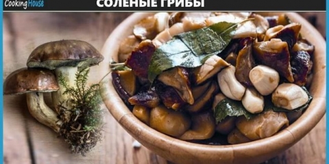 Recepte lemljene gljive kod kuće