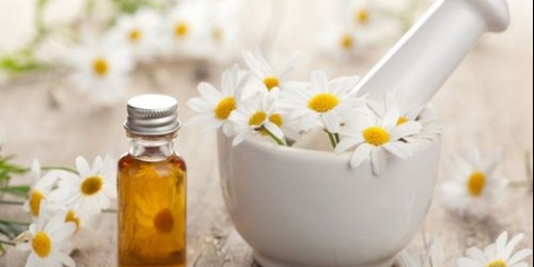 Medicinska svojstva i kontraindikacije kamilice