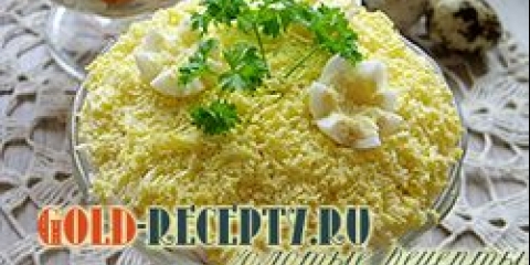 Salata sa jetrenom salatu sa kočnicama sa fotografijama