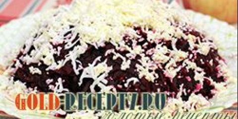 Salata od sajmova i repe recept za kuhanje ribljim salata