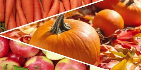 Salata od sirove pumpe: 8 jela za svaki ukus