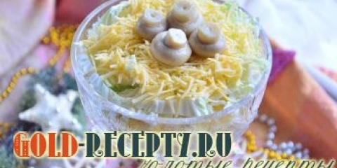 Salata sa basom sa lososom i peking kupusom