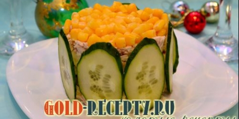 Salata sa kukuruzom, ukusna salata sa piletinom i receptom za kukuruz sa fotografijom