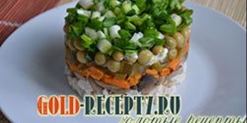 Salata sa piletinom i gljivama sa foto receptom za slojeve pilećih gljiva