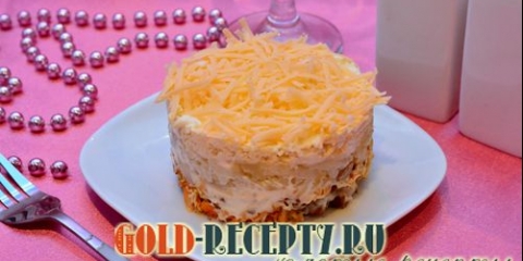 Salata sa piletinom i krekerima slojeviti popho-po-pohrak foto recept