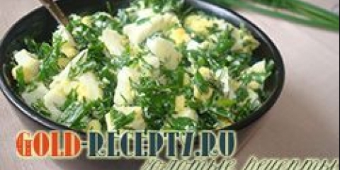 Salata sa zelenim lukom recepti sa fotografijama salata brz, ukusna i korisna