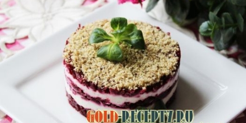 Salata sa repama sa slojem sira