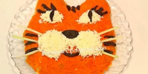 Tigreno salata sa špricama i pilećim slojevima